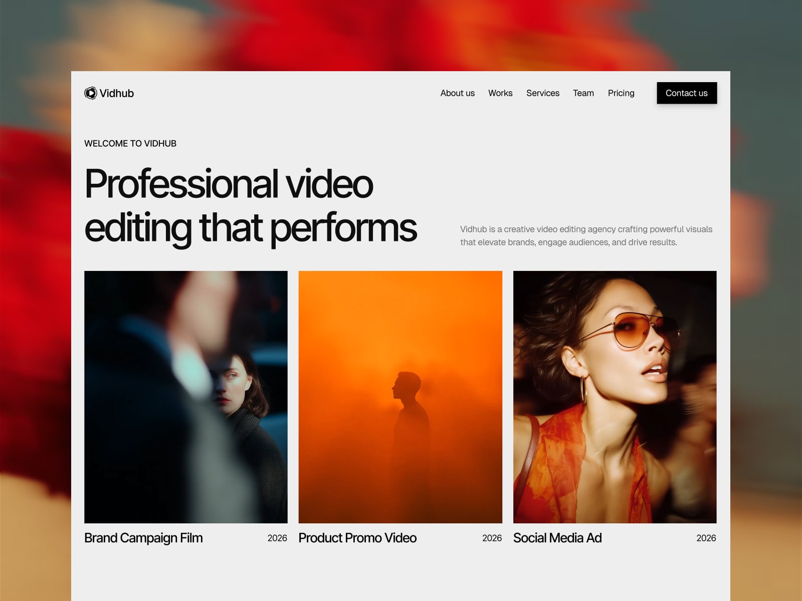 Vidhub template cover